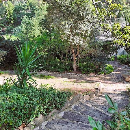 Badger'S Lodge Knysna Luaran gambar