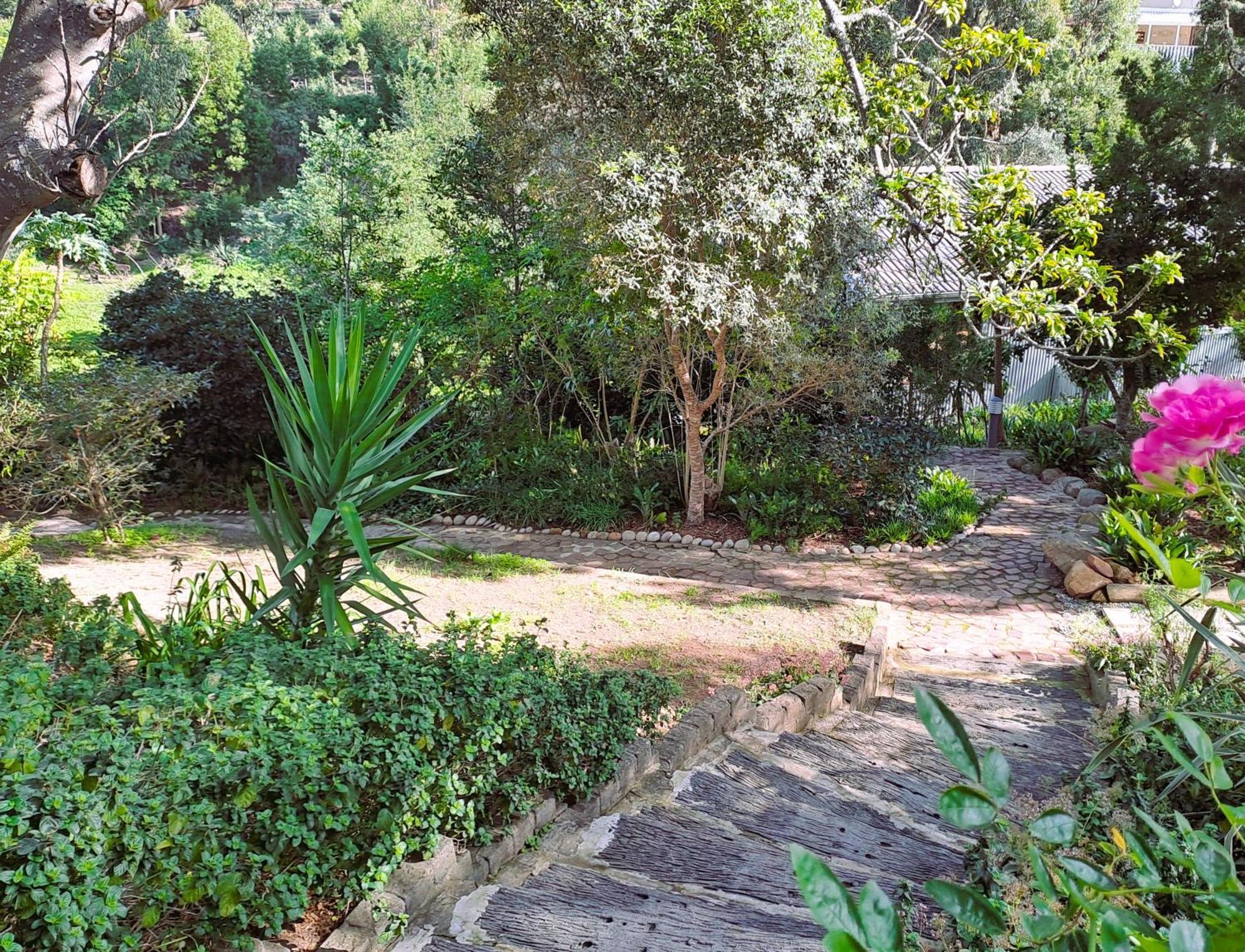 Badger'S Lodge Knysna Luaran gambar